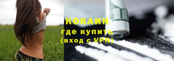 молекула духа Белоозёрский