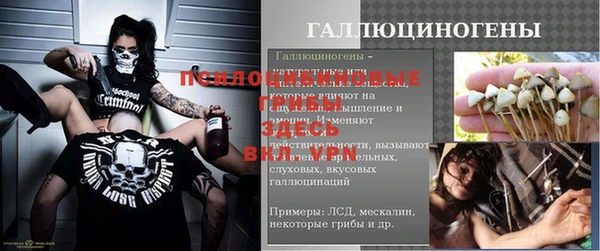 молекула духа Белоозёрский