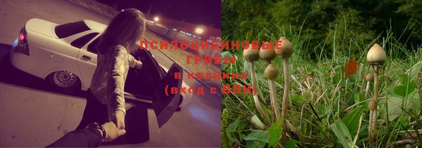 молекула духа Белоозёрский