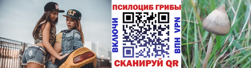 Псилоцибиновые грибы мухоморы наркота kraken зеркало Мариинский Посад